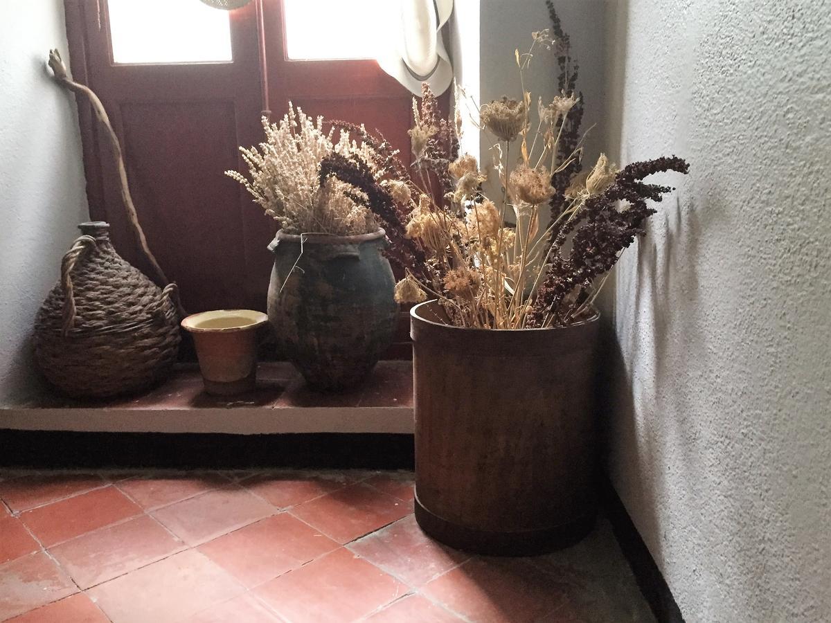 Hotel Aiglon Olmeto  Zewnętrze zdjęcie